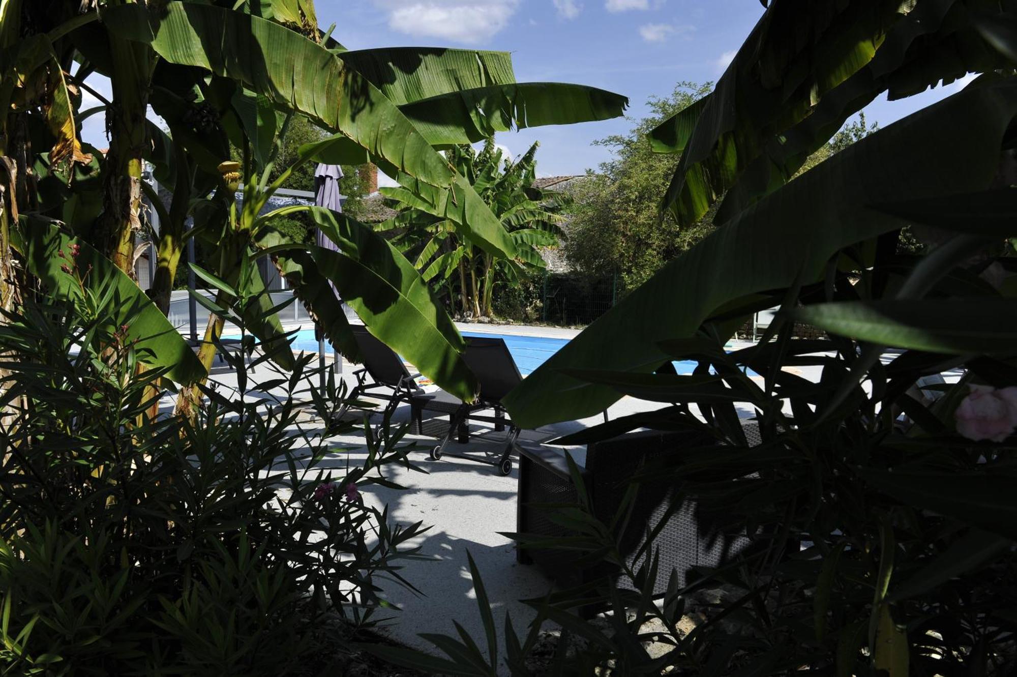 Gites Jardin-Darcy - Piscine Au Sel Bois 외부 사진